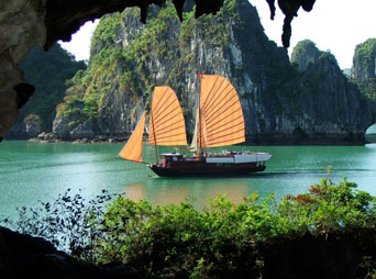 Halong Tour - 1 Day Halong Tour - 1 Day