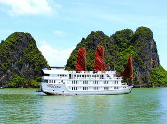 Paloma Cruise Paloma Cruise