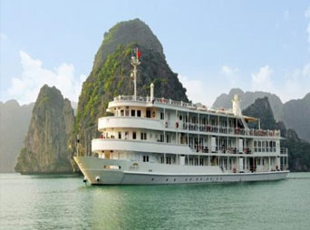 Auco Cruise (Best Price Guarantee) Auco Cruise (Best Price Guarantee)